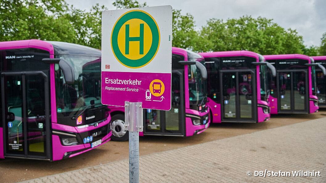 Haltestellenschild für Schienenersatzverkehr vor einer Reihe magentafarbener MAN-Ersatzverkehrsbusse.